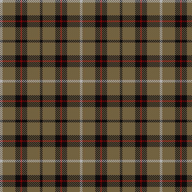 Tartan image: Richmond de Ellel (Personal). Click on this image to see a more detailed version.