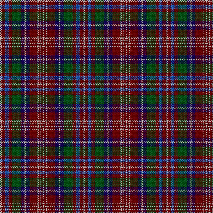 Tartan image: Ritchie. Click on this image to see a more detailed version.