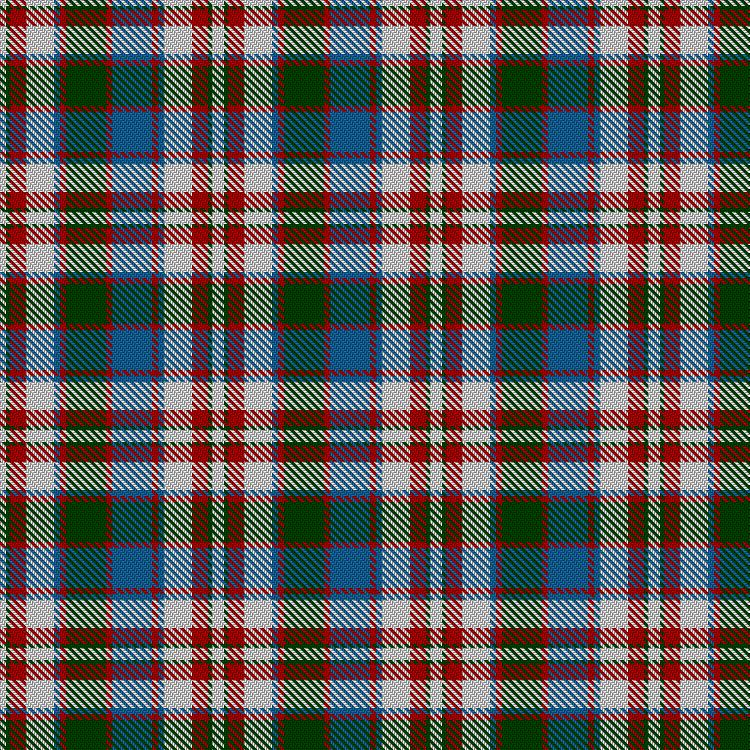 Tartan image: Robertson Dress 2002. Click on this image to see a more detailed version.