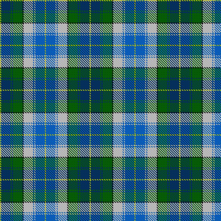 Tartan image: Robinson, Barbara Ann (Personal). Click on this image to see a more detailed version.