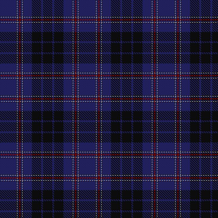 Tartan image: Bristow Helicopters. Click on this image to see a more detailed version.