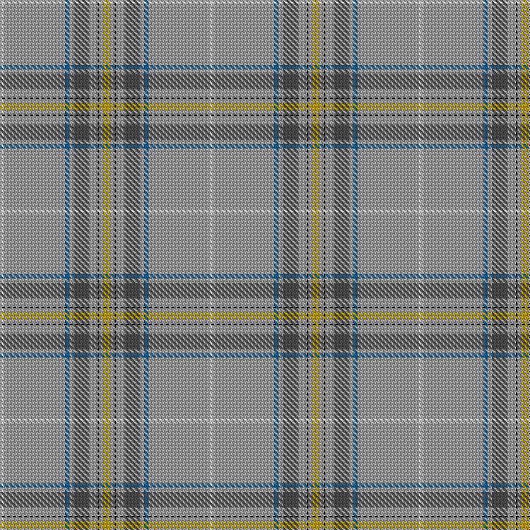 Tartan image: Royal College of Midwives. Click on this image to see a more detailed version.