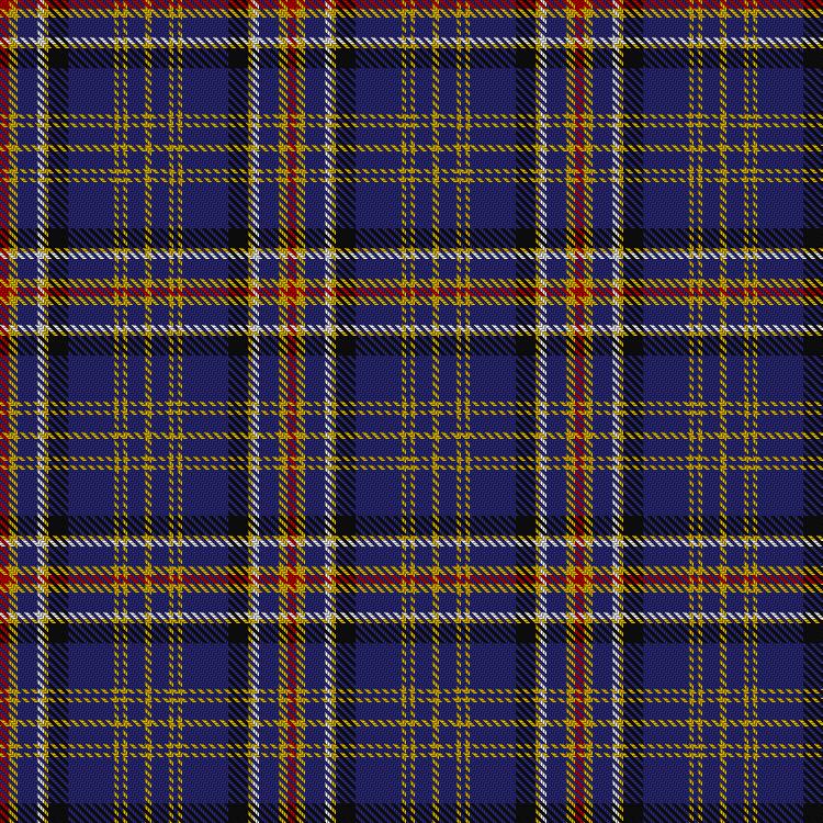 Tartan image: Ruxton Dress. Click on this image to see a more detailed version.