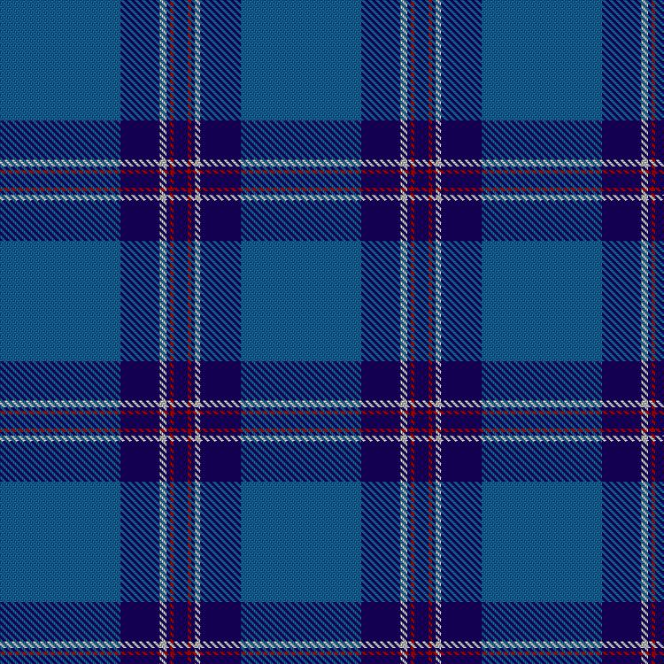 Tartan image: S.C.O.T.S. Click on this image to see a more detailed version.
