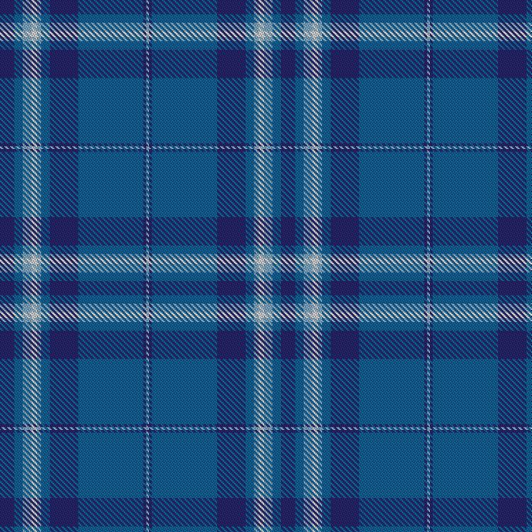 Tartan image: Saltire. Click on this image to see a more detailed version.