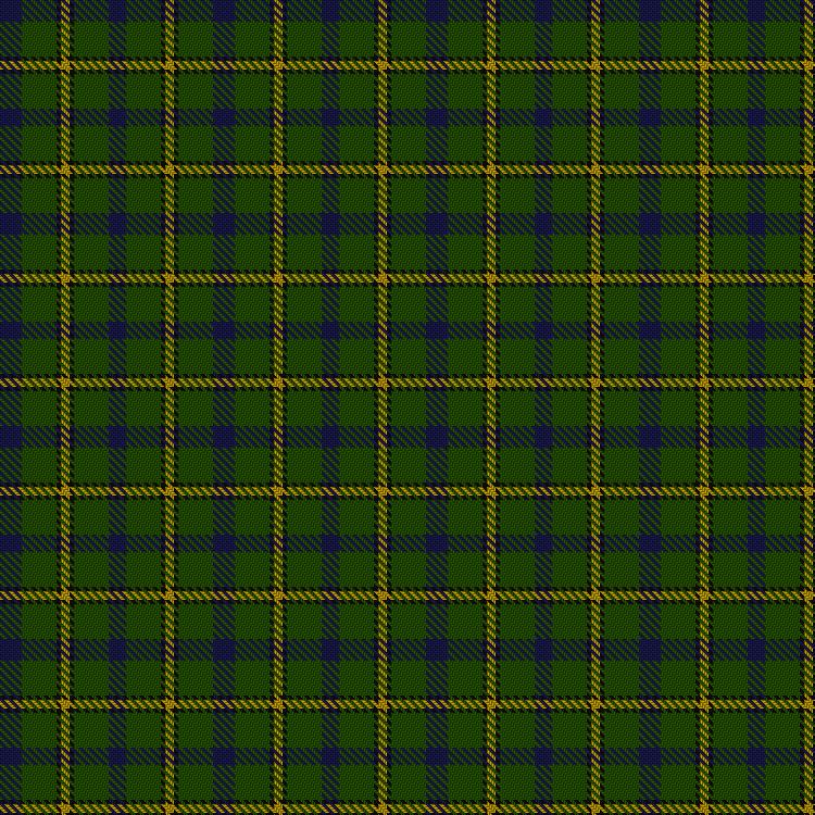 Tartan image: Salvation Army Hunting. Click on this image to see a more detailed version.
