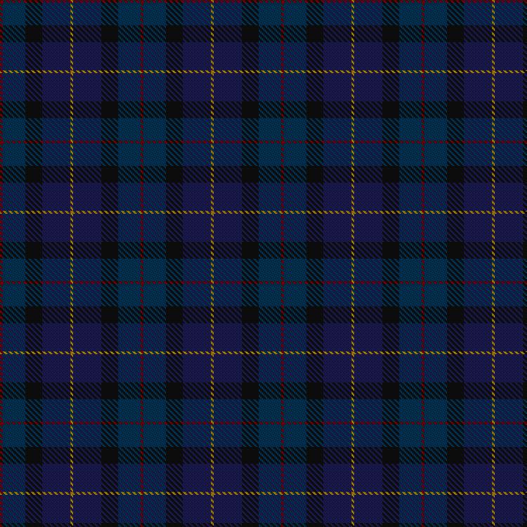 Tartan image: Sanix Modern. Click on this image to see a more detailed version.