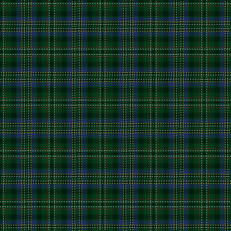 Tartan image: Scott Hunting special. Click on this image to see a more detailed version.
