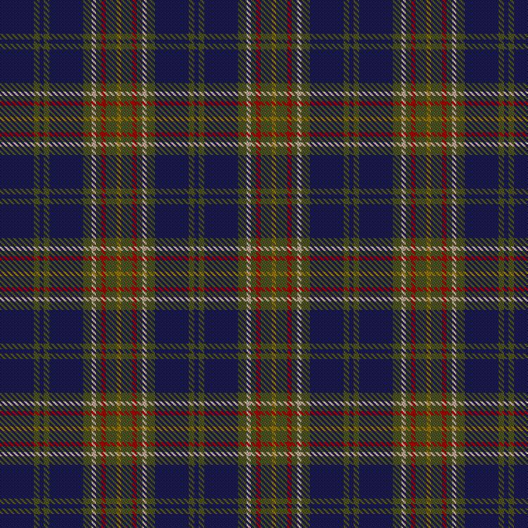 Tartan image: Scottish Borders Tourist Board. Click on this image to see a more detailed version.