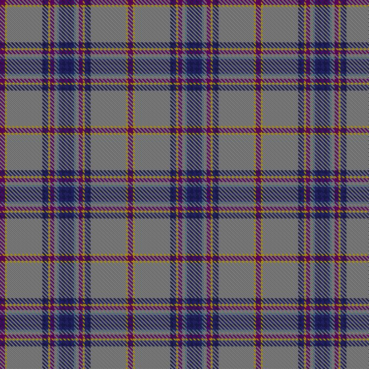 Tartan image: Scottish Foundation VA Highlands. Click on this image to see a more detailed version.