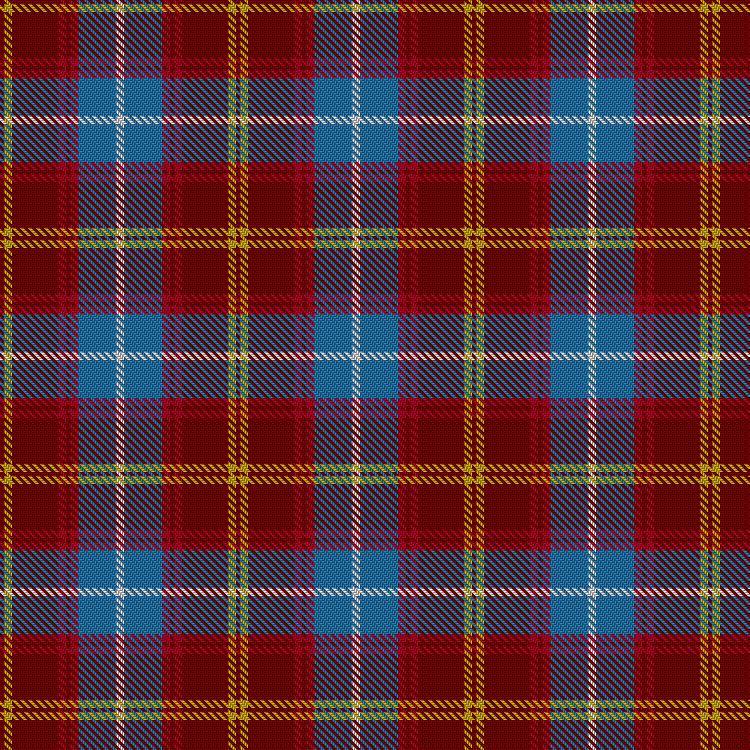 Tartan image: Scottish Institute of Sport. Click on this image to see a more detailed version.