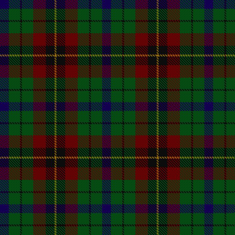 Tartan image: Scottish Parliament (unofficial). Click on this image to see a more detailed version.