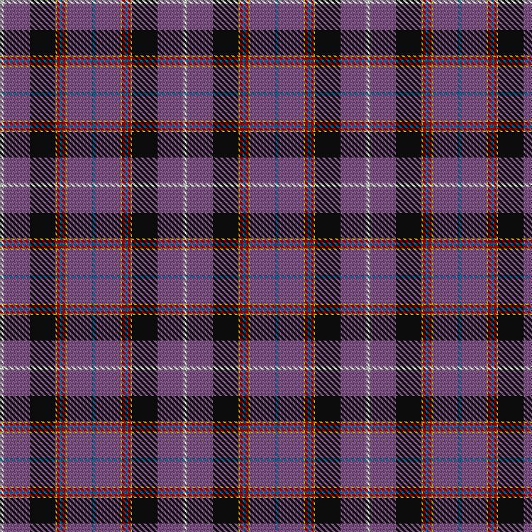 Tartan image: Selkirk High School. Click on this image to see a more detailed version.