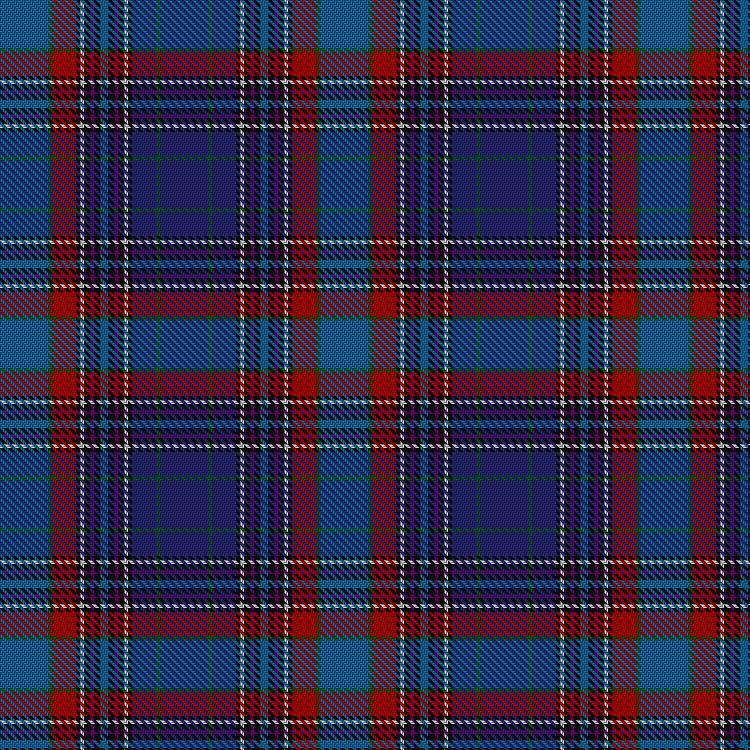 Tartan image: Selkirk, New. Click on this image to see a more detailed version.