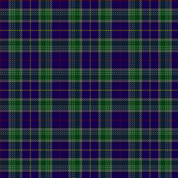 Tartan image: Service of Drymen (Personal). Click on this image to see a more detailed version.