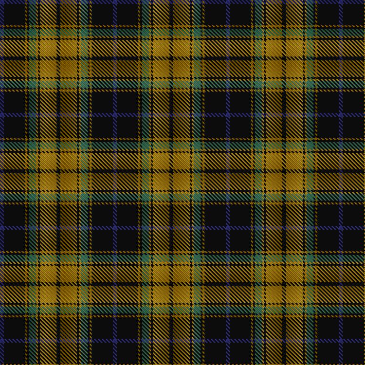 Tartan image: Bro-Leon. Click on this image to see a more detailed version.