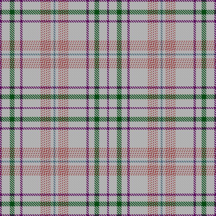 Tartan image: Shaw Dress (Personal). Click on this image to see a more detailed version.