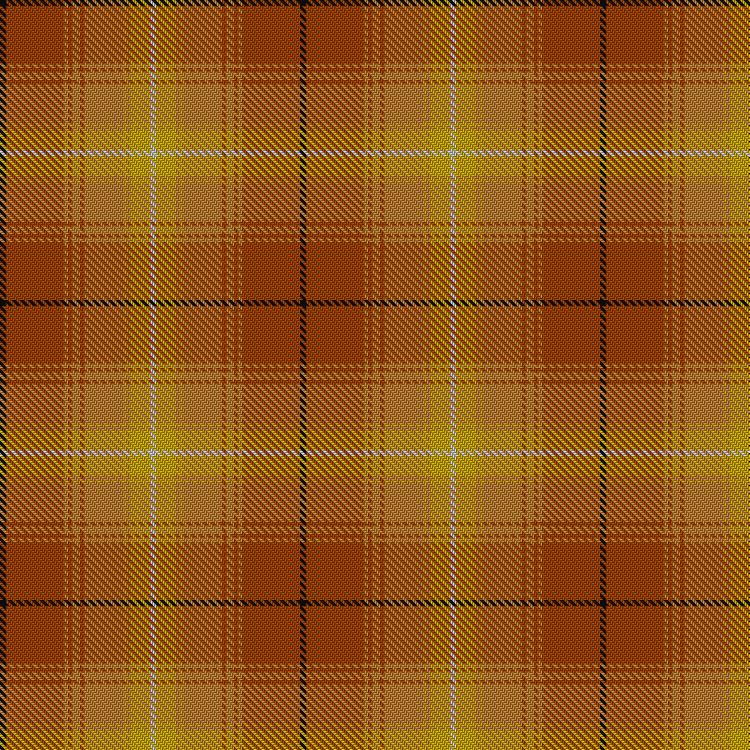 Tartan image: Shenzhen. Click on this image to see a more detailed version.