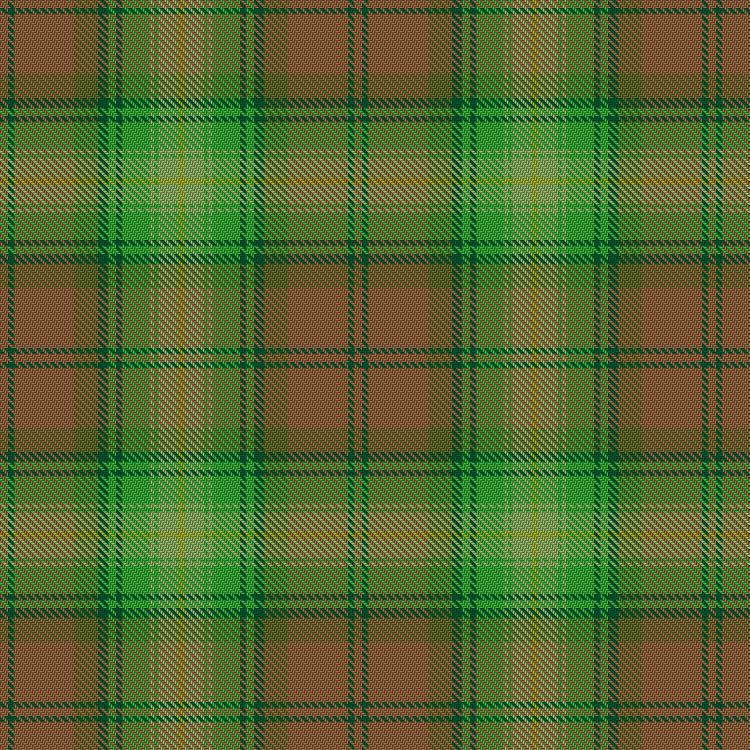 Tartan image: Shrek. Click on this image to see a more detailed version.