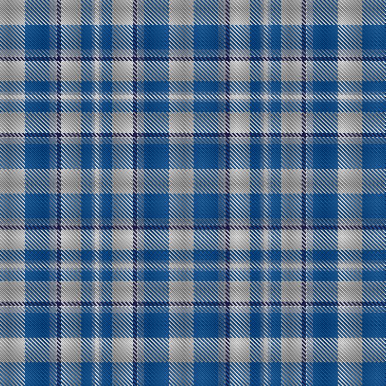 Tartan image: Silver (Personal). Click on this image to see a more detailed version.