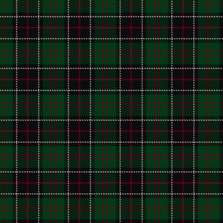 Tartan image: Sinclair Hunting. Click on this image to see a more detailed version.