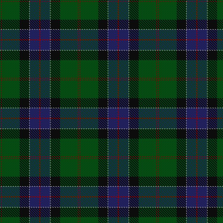 Tartan image: Sinclair Hunting (VS). Click on this image to see a more detailed version.