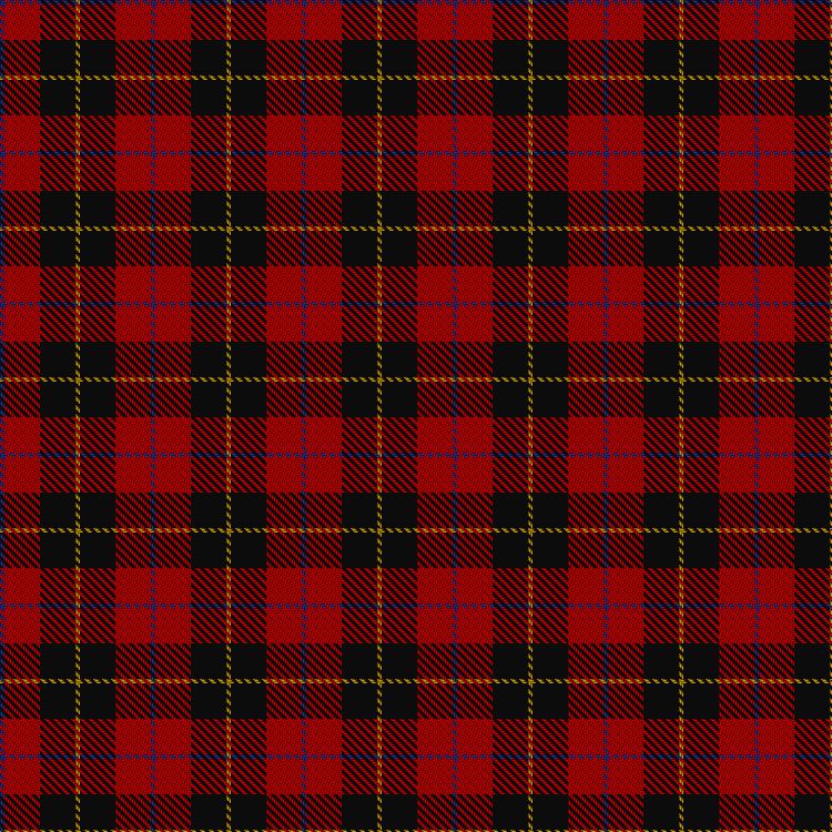 Tartan image: Skinner. Click on this image to see a more detailed version.