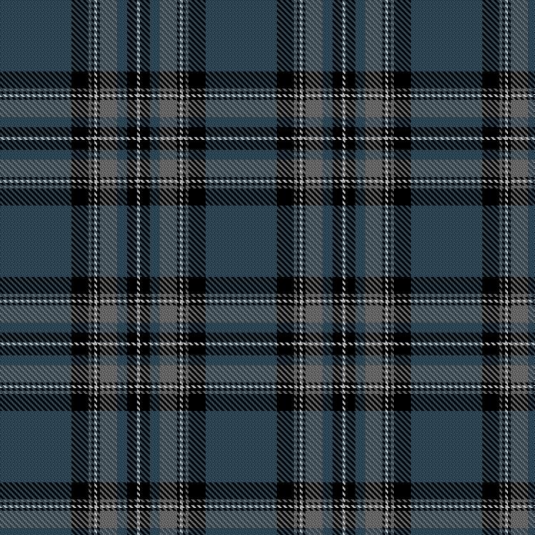 Tartan image: Skye. Click on this image to see a more detailed version.