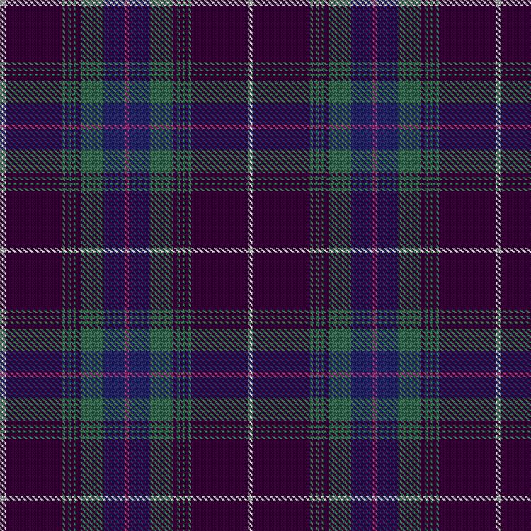 Tartan image: Solway Spirit. Click on this image to see a more detailed version.