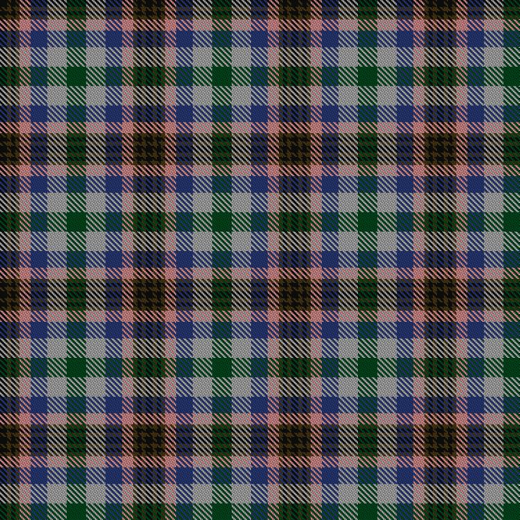 Tartan image: Somerset #2. Click on this image to see a more detailed version.