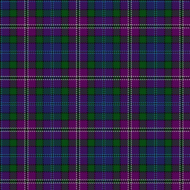 Tartan image: South Lanarkshire. Click on this image to see a more detailed version.