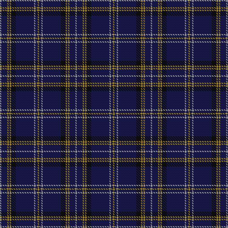Tartan image: SPA Association. Click on this image to see a more detailed version.