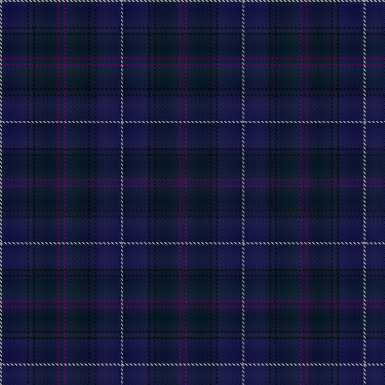 Tartan image: Spirit of Wales. Click on this image to see a more detailed version.