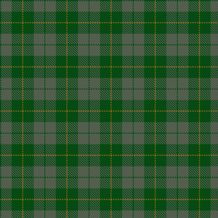 Tartan image: Spring Morning. Click on this image to see a more detailed version.