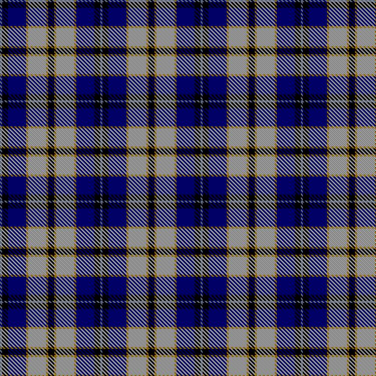 Tartan image: St. Francis Xavier University. Click on this image to see a more detailed version.