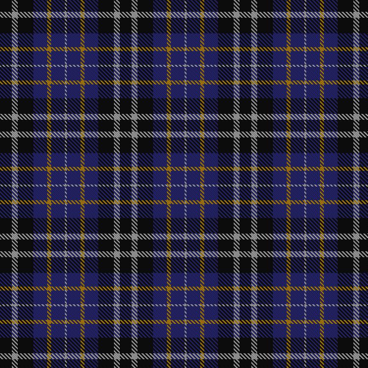 Tartan image: St. Johnstone Football Club. Click on this image to see a more detailed version.