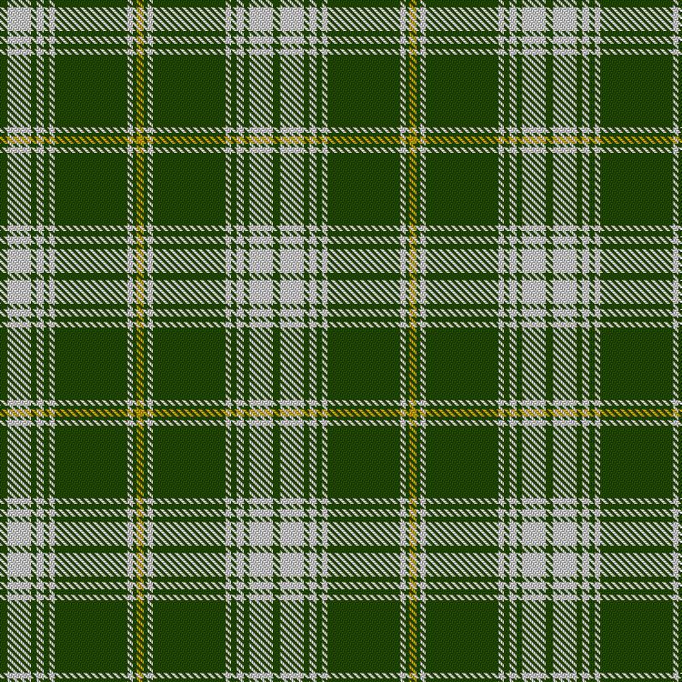 Tartan image: St. Patrick. Click on this image to see a more detailed version.