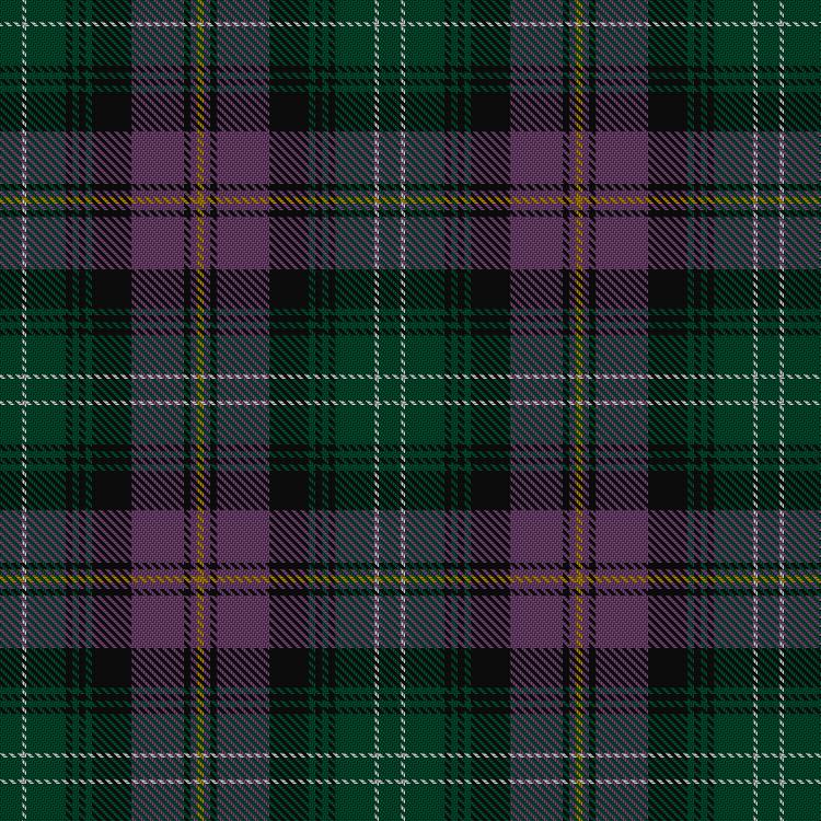 Tartan image: Bell's Whisky (SA). Click on this image to see a more detailed version.