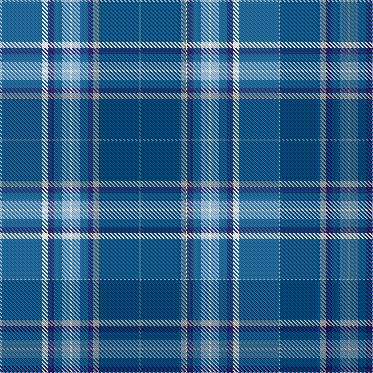 Tartan image: Starr. Click on this image to see a more detailed version.