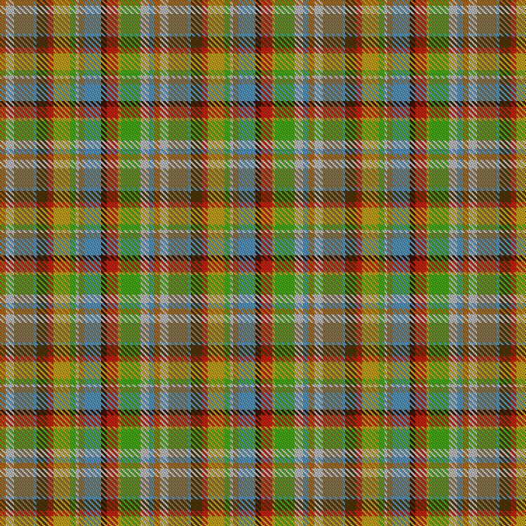 Tartan image: Ste-Anne-de-Portneuf. Click on this image to see a more detailed version.