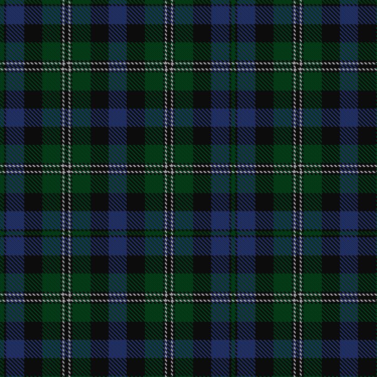 Tartan image: Stephenson Hunting. Click on this image to see a more detailed version.