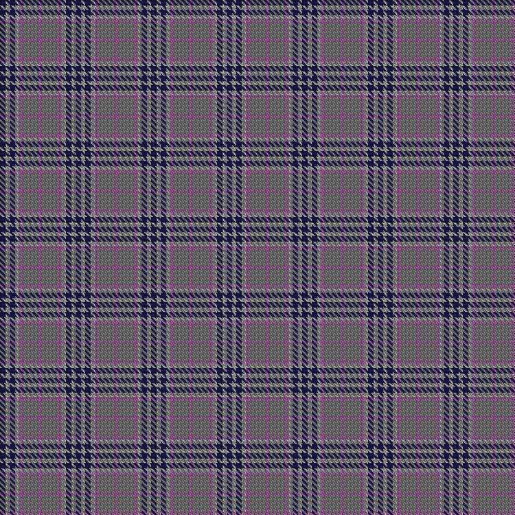 Tartan image: Stevens #2. Click on this image to see a more detailed version.