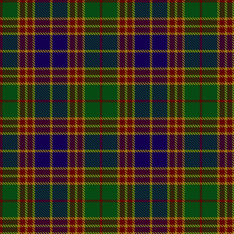 Tartan image: Stevenson (Personal). Click on this image to see a more detailed version.