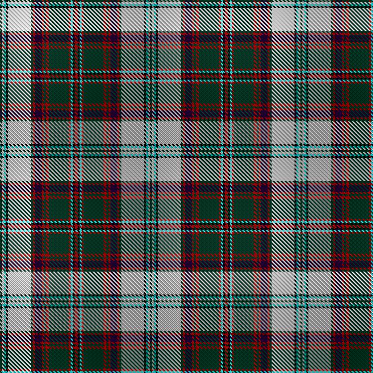 Tartan image: Stewart of Appin Dress. Click on this image to see a more detailed version.