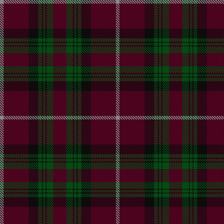 Tartan image: Stewart of Bute Hunting. Click on this image to see a more detailed version.
