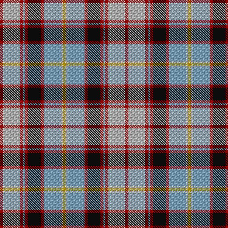 Tartan image: Stirling & Bannockburn Dress. Click on this image to see a more detailed version.