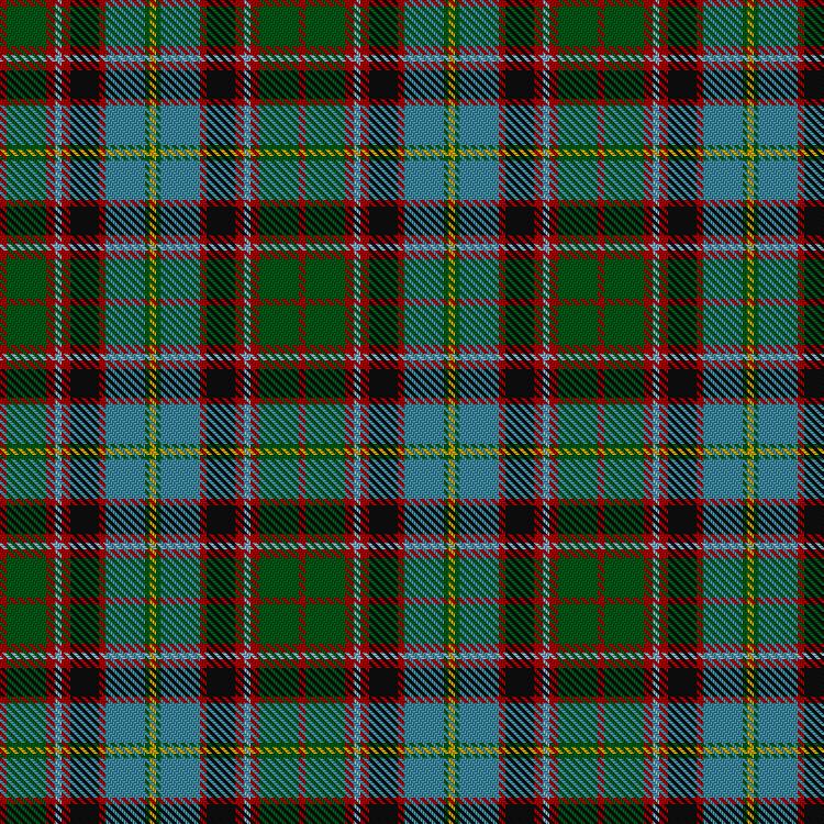 Tartan image: Stirling and Bannockburn. Click on this image to see a more detailed version.