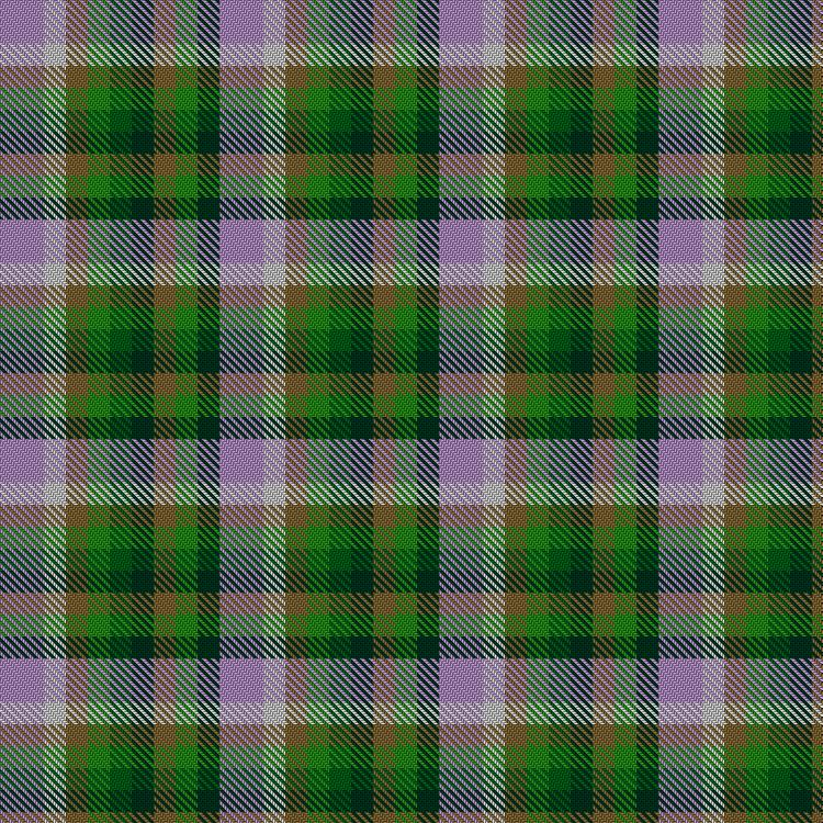 Tartan image: Stirling Millennium. Click on this image to see a more detailed version.