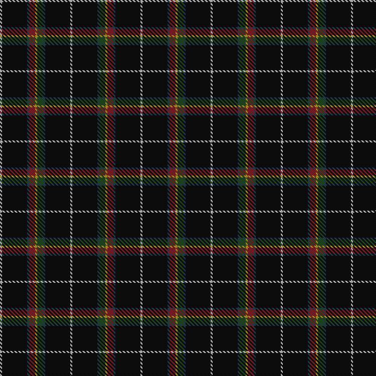 Tartan image: Stott (Personal). Click on this image to see a more detailed version.