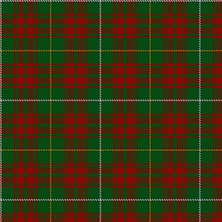 Tartan image: Bruce Hunting. Click on this image to see a more detailed version.